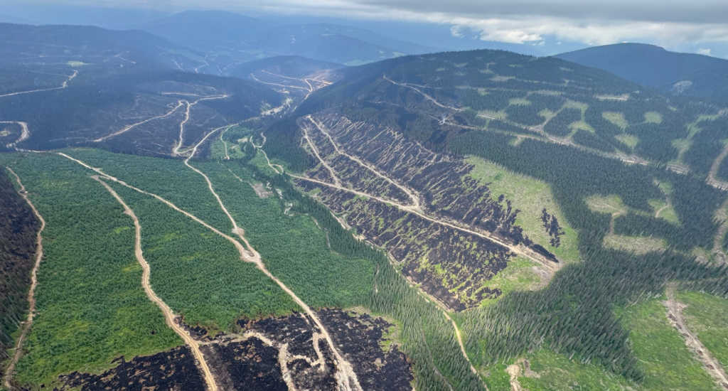 A view of the area the Antler Creek wildfire burned, taken on July 27, 2024.