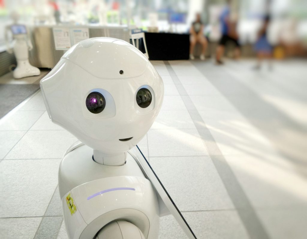 Crypto. AI. Sex dolls. Robotics. And a Canadian business plan