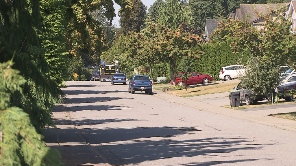 The neighbourhood where the arrest took place