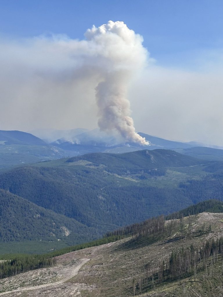 A view of the Calcite Creek wildfire is shown in a July 26, 2024, handout photo.