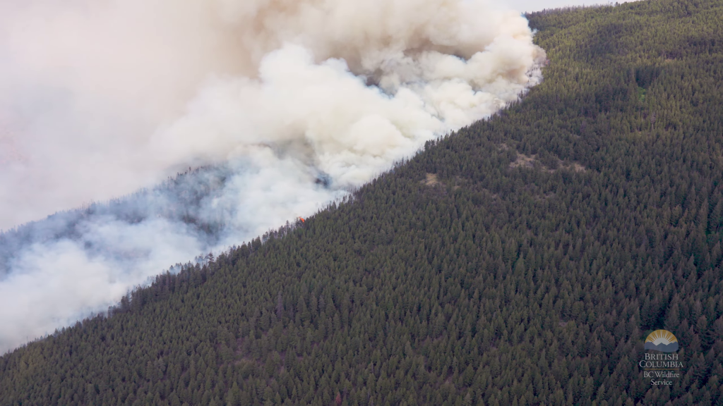 Smoke on the side of a wooded mountain