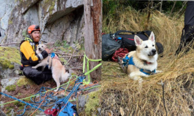 Squamish SAR members help rescue Maverick the dog, who fell into the Cheakamus River on Aug. 20.