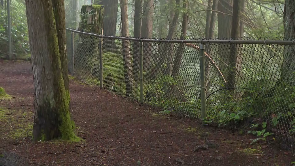 A fence is seen in Lynn Canyon Park in North Vancouver on Monday August 26, 2024. 