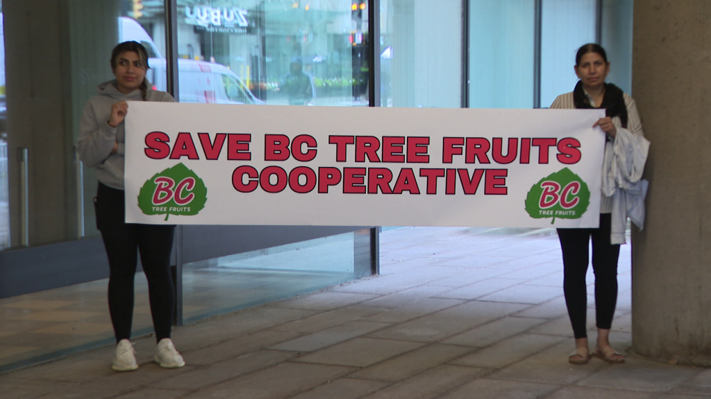 Protesters stand outside the Law Courts in Vancouver on Monday August 26, 2024.