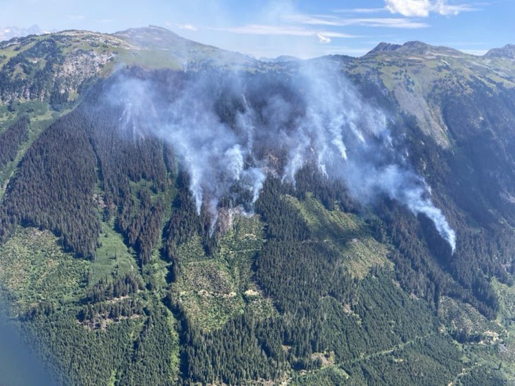 A wooded mountainside issuing smoke