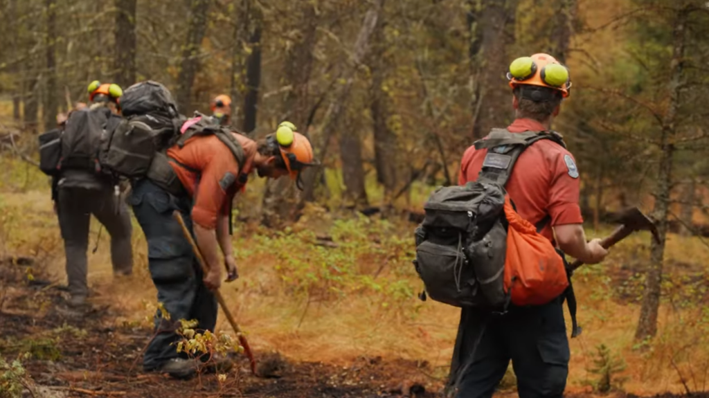 Favourable weather helps improve B.C. wildfire season