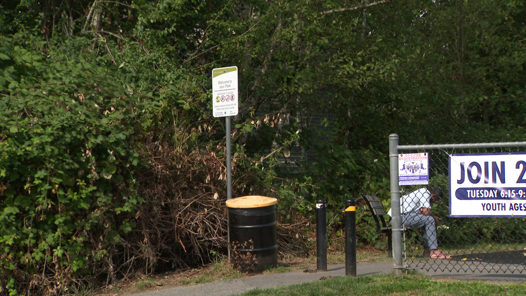 2 men violently assaulted in Surrey park