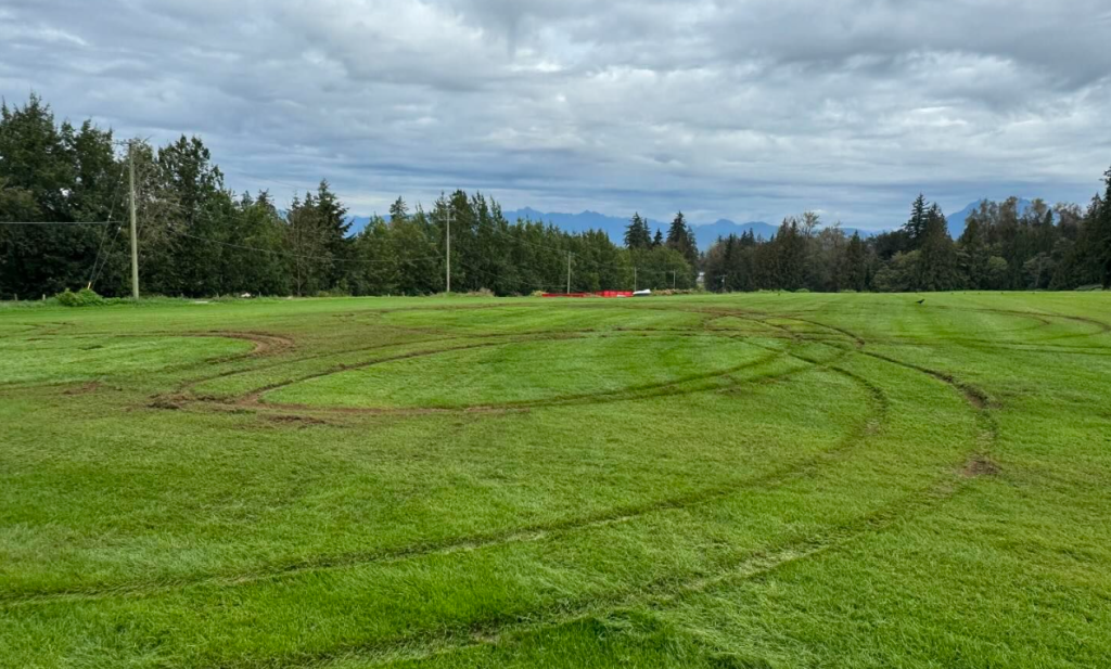 Langley turf company targeted by vandals, posts reward