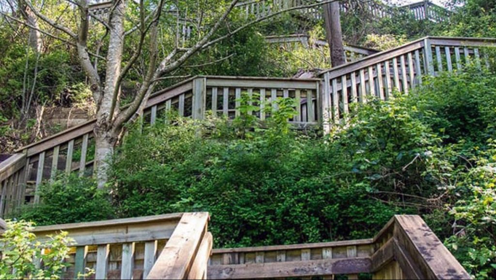 Surrey's famed 1001 Steps to be reconstructed