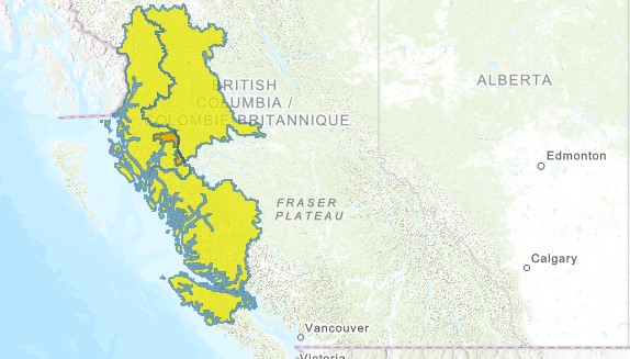 High streamflow advisory issued as atmospheric river approaches parts of B.C. coast