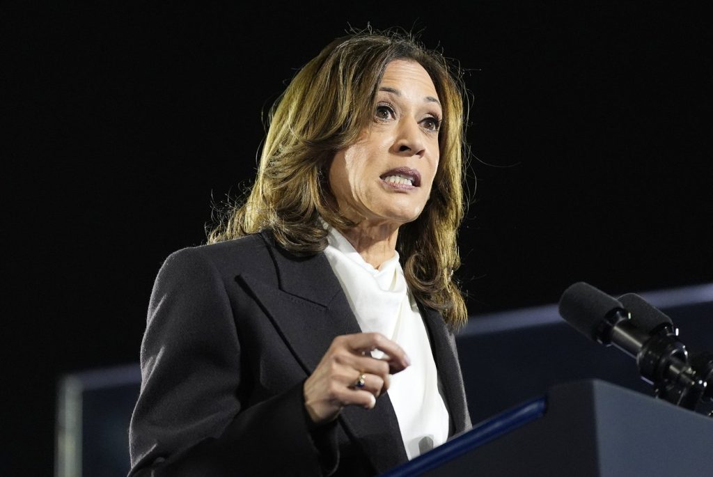 Harris promises to 'represent all Americans' after Biden's remark on Trump supporters and 'garbage'