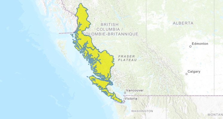 Heavy rain prompting high streamflow advisory on B.C. coastline