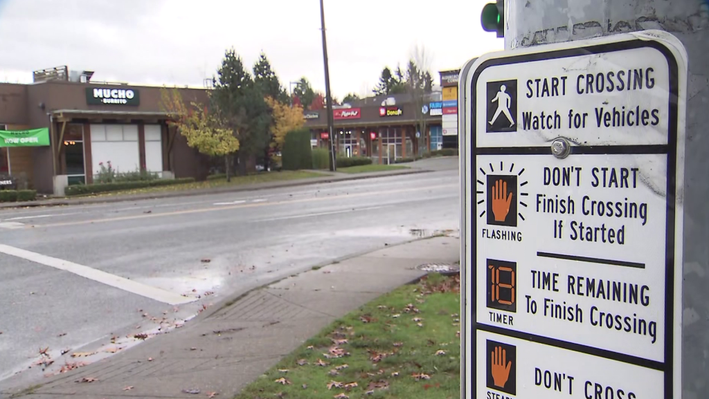 3 pedestrians hit in separate crashes as 'potent' storm rolls across Metro Vancouver