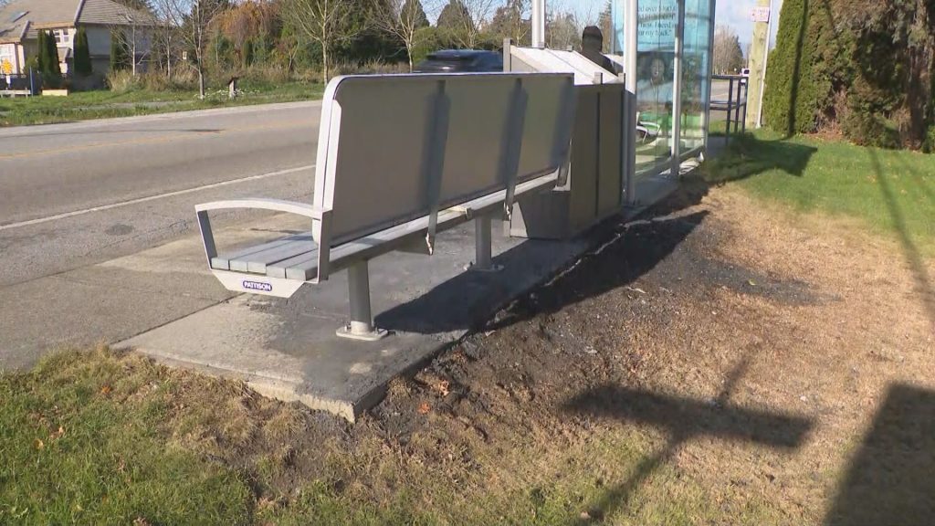 Scorched earth surrounding the bus shelter