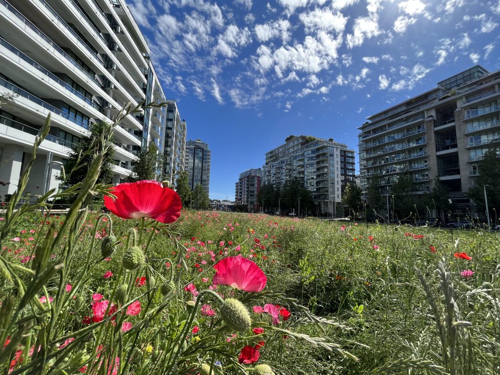 Vancouver Park Board approves new False Creek park design