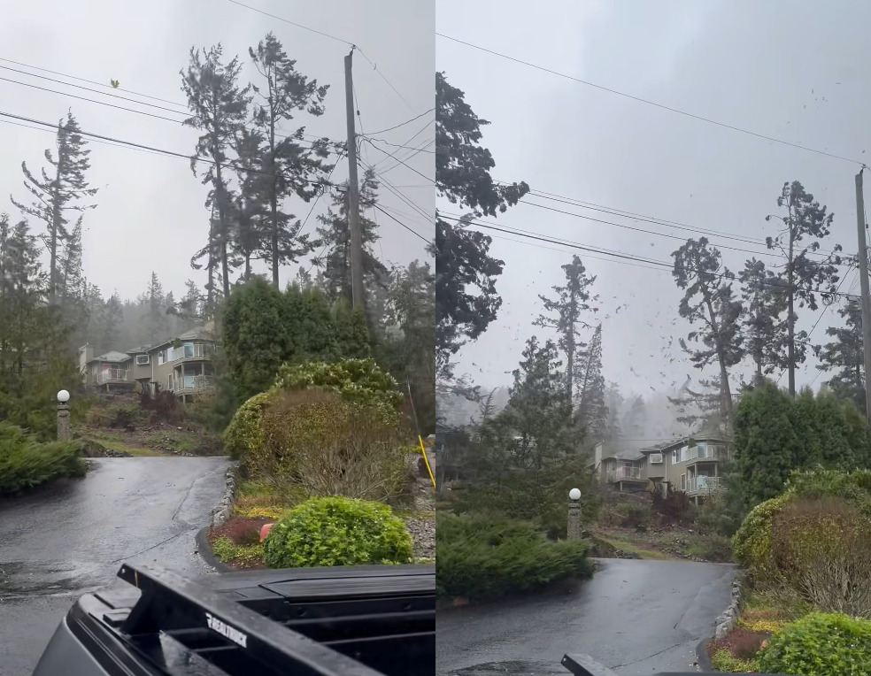 Tornado touched down on Sunshine Coast during violent windstorm