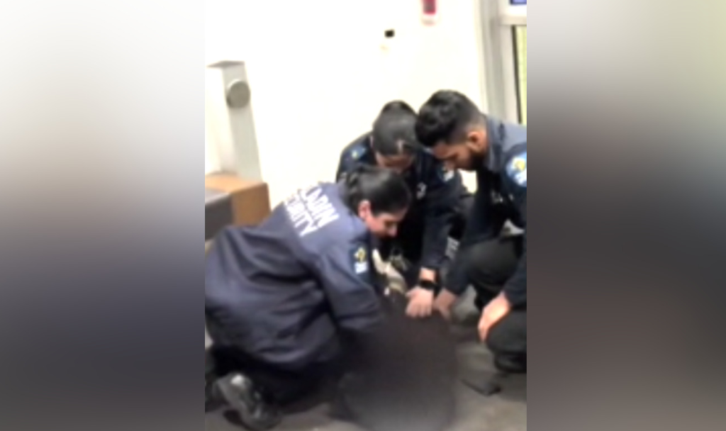 Indigenous teen 'forcibly' restrained, racially profiled at Surrey mall: family