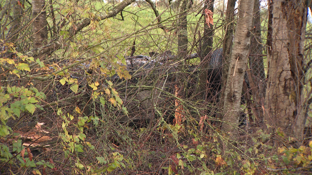 The Surrey RCMP confirms that two people were killed early Monday morning after a rollover crash along Highway 99. (CityNews Image)