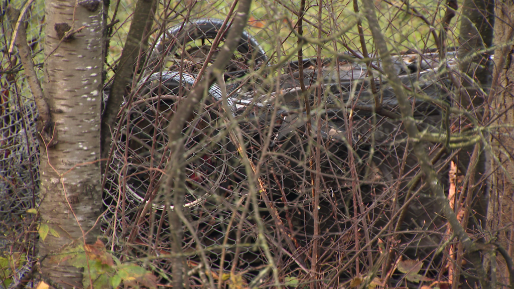 2 people killed in rollover crash along HWY 99 in Surrey