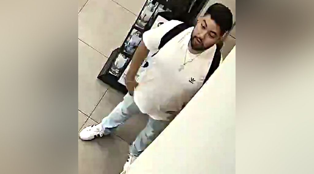 Richmond RCMP release photo of assault suspect