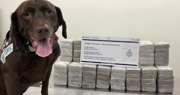 Hundreds of kilograms of cocaine seized at B.C. border