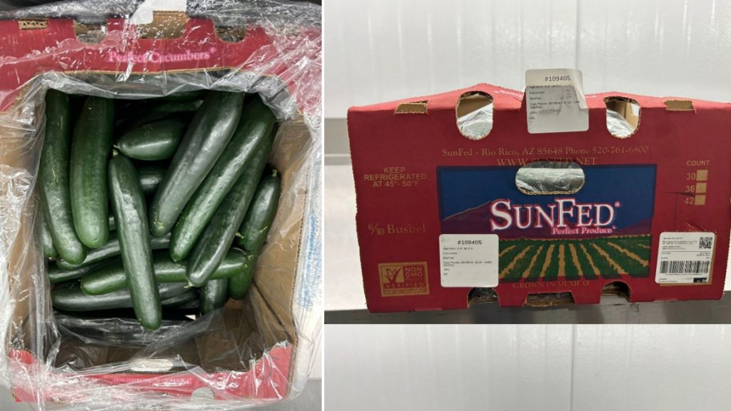 Cucumbers sold in B.C., three other provinces recalled due to possible salmonella contamination