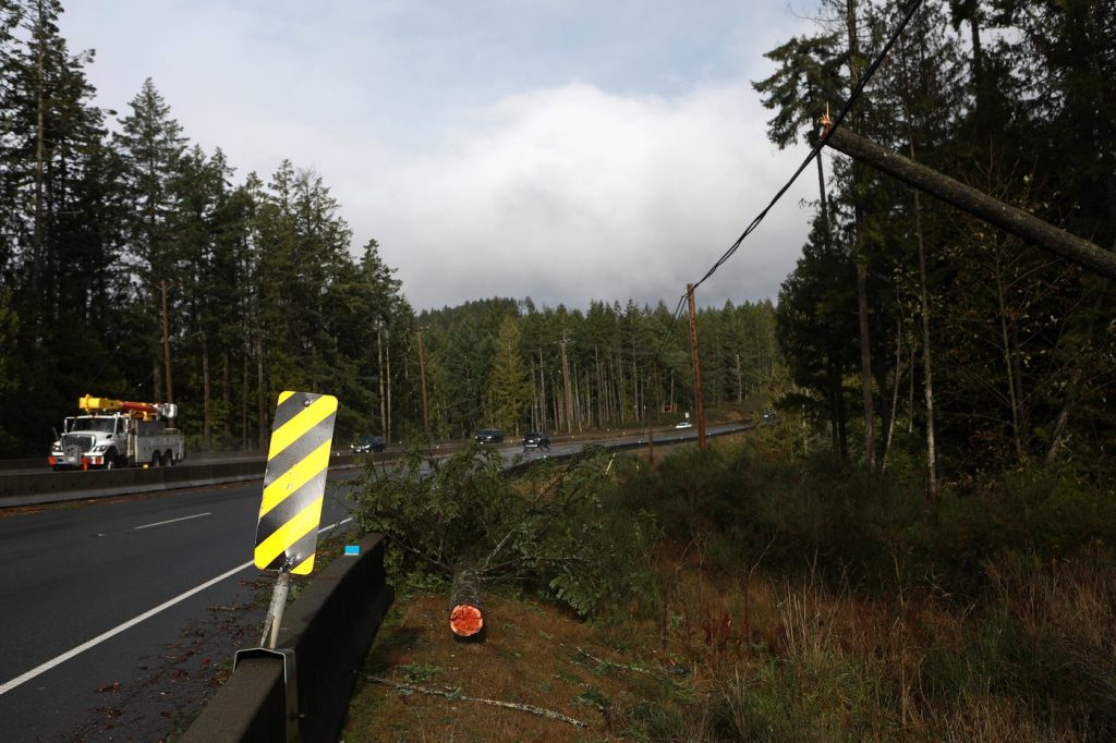 New B.C. storm brings 100 km/h winds with some Vancouver Island homes still in dark after 'bomb cyclone'