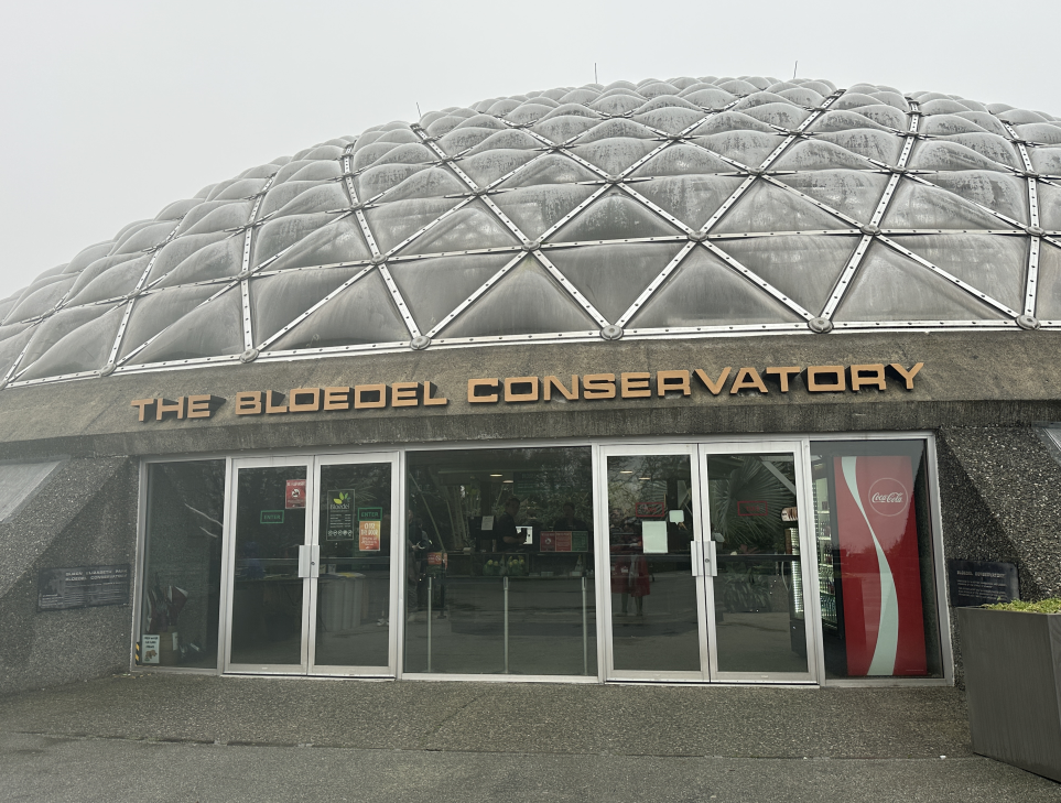 The Bloedel Conservatory at Queen Elizabeth Park on Jan. 4, 2025. The attraction has finally reopened after being closed for months while it underwent renovations.