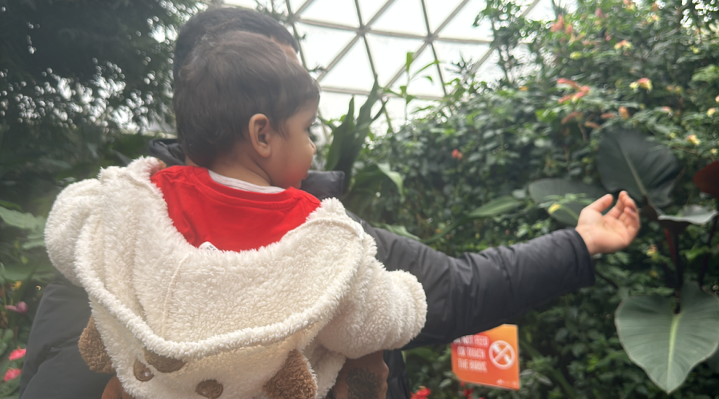 Visitors to the Bloedel Conservatory on Jan. 4, 2025.