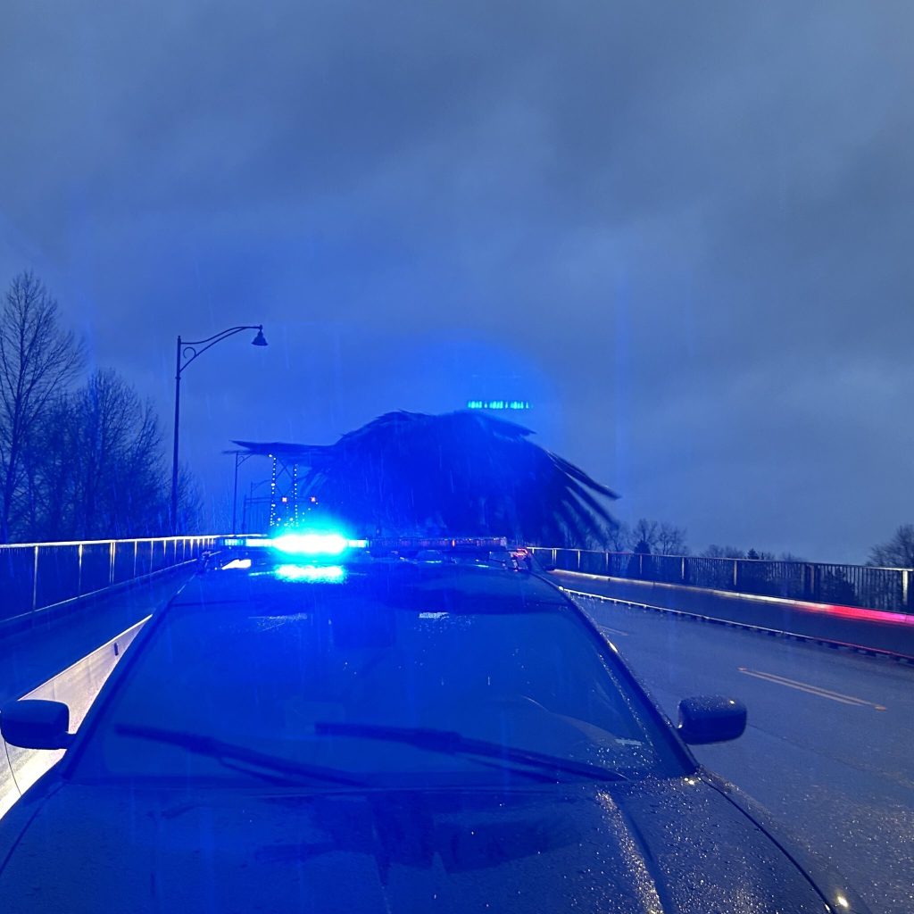 An eagle on top of a police cruiser