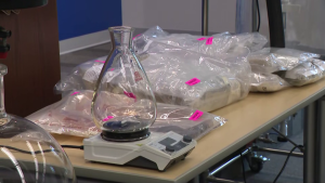 Fentanyl labs dismantled in Pitt Meadows, Aldergrove, and Mission: RCMP