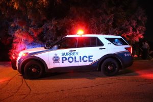 2 charged after sexual assault near Surrey-Langley border