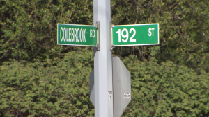 2 charged after sexual assault near Surrey-Langley border
