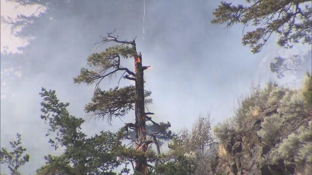 Izman Creek Wildfire