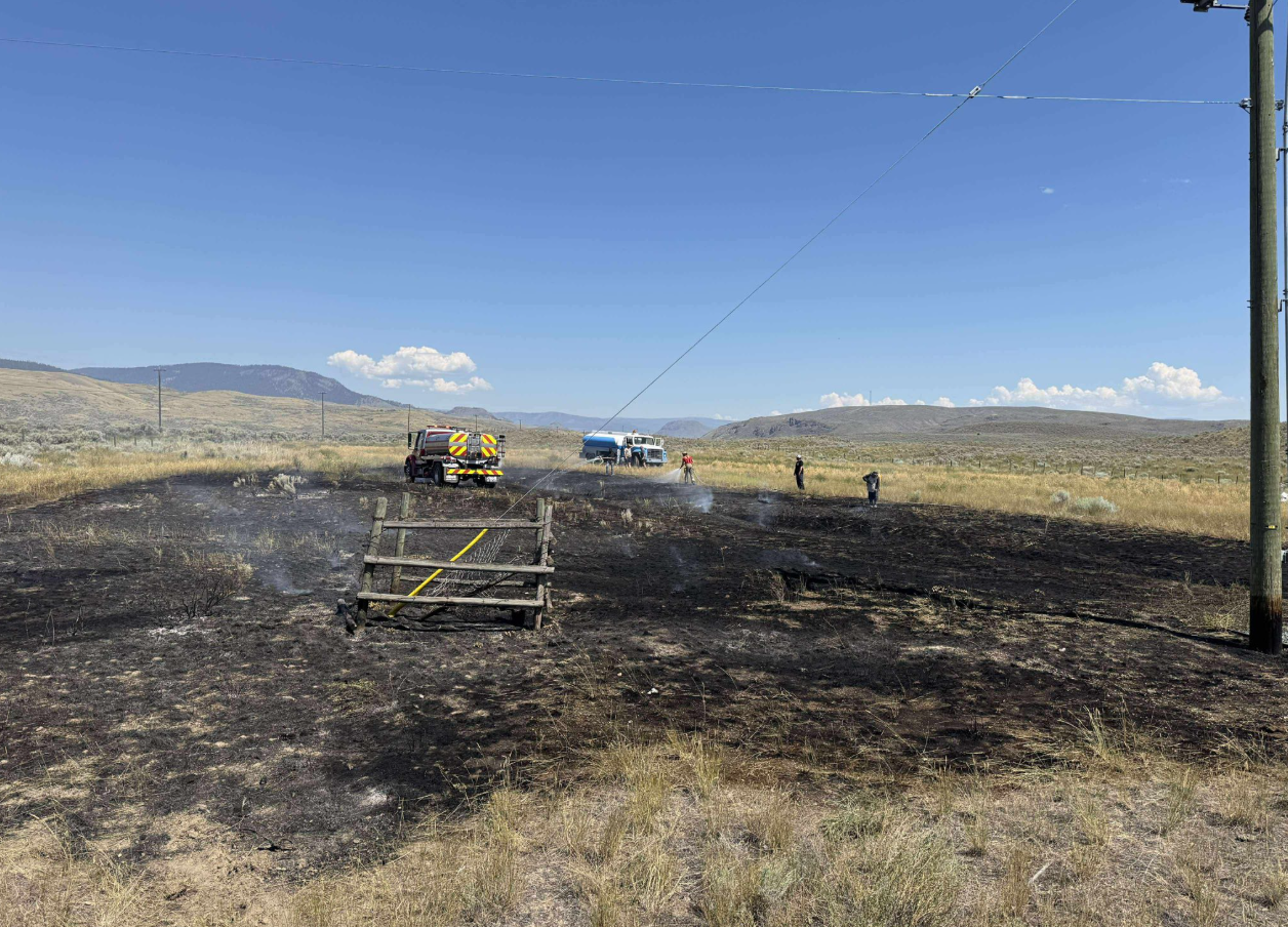 Could a bird and its meal have started an Ashcroft brush fire?