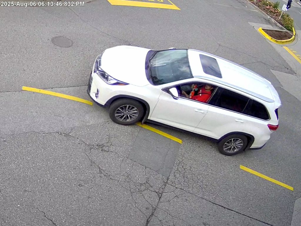 CCTV footage of the suspect vehicle, along with a still image of the suspected driver.