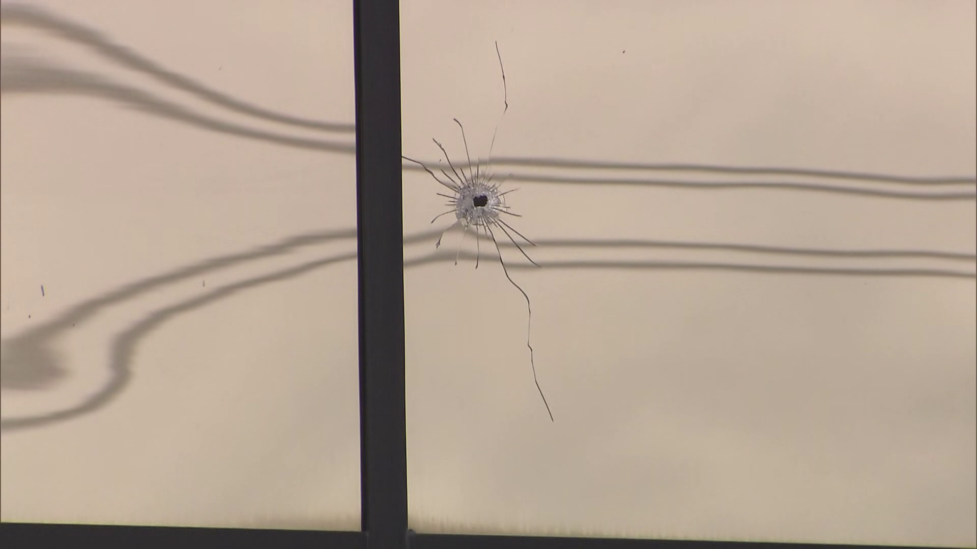 vancouver.citynews.ca