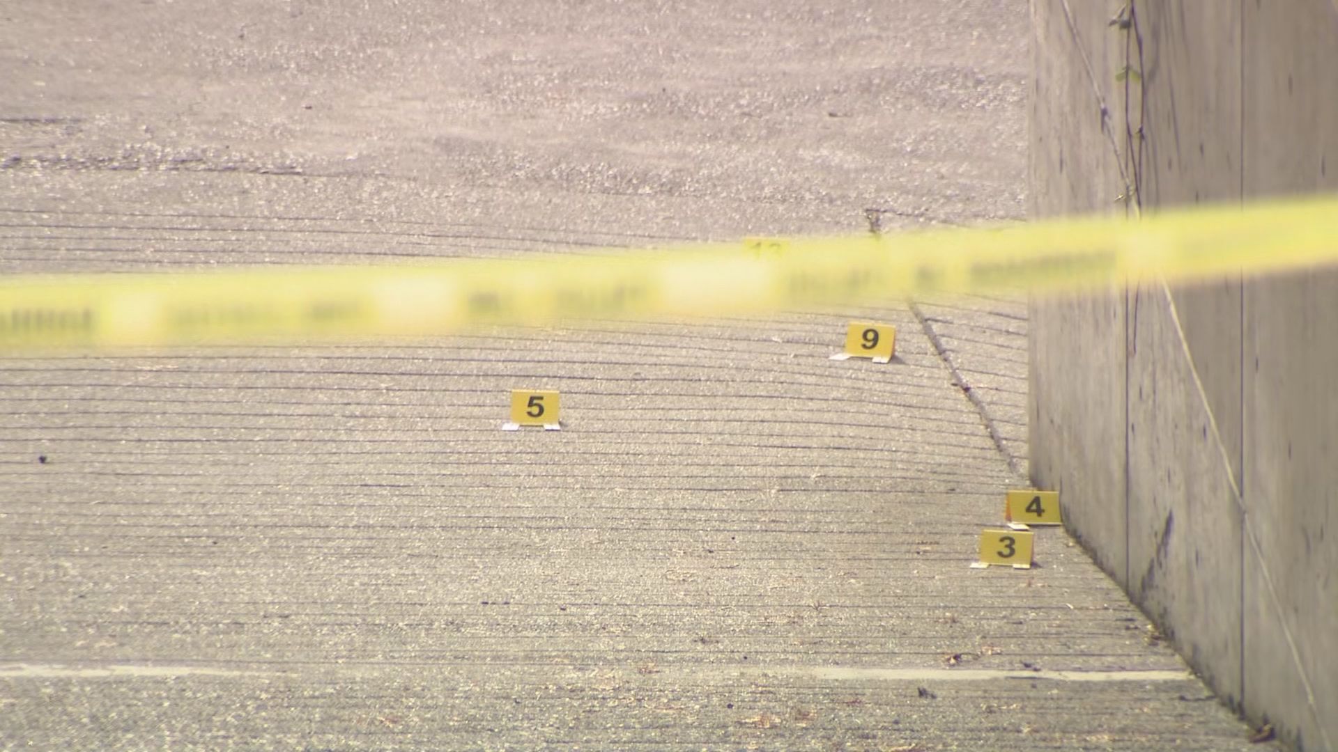 vancouver.citynews.ca