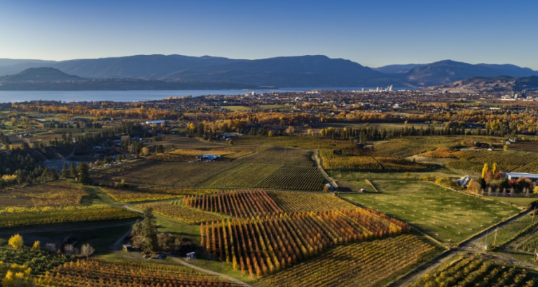 Kelowna has been designated a UNESCO Creative City of Gastronomy -- making it the only Canadian city with that distinction. (City of Kelowna Image)