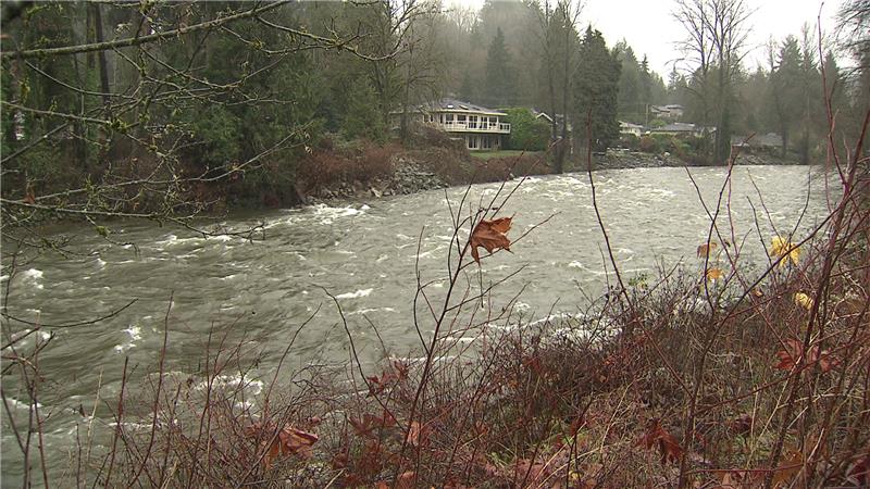 The Seymour River
