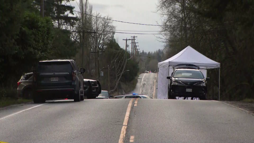 Police on scene of a shooting on 232nd Street near 69th Avenue in the Langley Township on Jan 8, 2026. (CityNews Image)