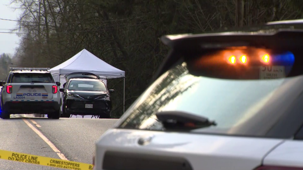 Police on scene of a shooting on 232nd Street near 69th Avenue in the Langley Township on Jan 8, 2026. (CityNews Image)