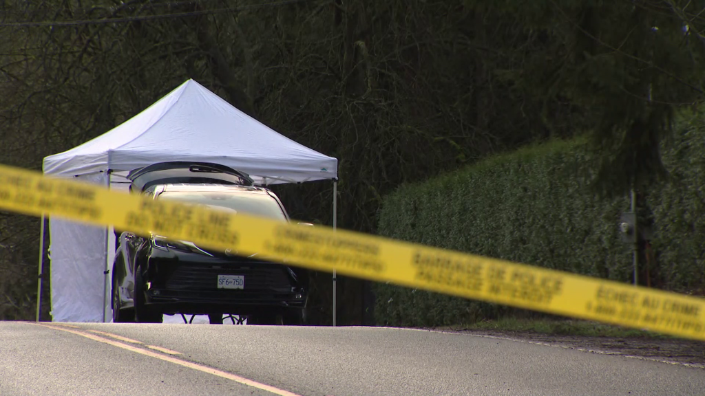 Police on scene of a shooting on 232nd Street near 69th Avenue in the Langley Township on Jan 8, 2026. (CityNews Image)