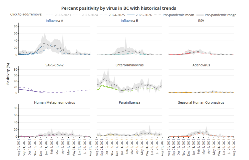 Charts showing the per cent positivity of viruses in B.C.