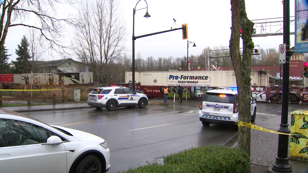 Police respond to a collision involving a train and a pedestrian in Fort Langley on Jan. 29, 2026.