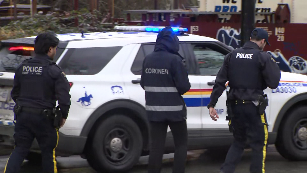 Police respond to a collision involving a train and a pedestrian in Fort Langley on Jan. 29, 2026.