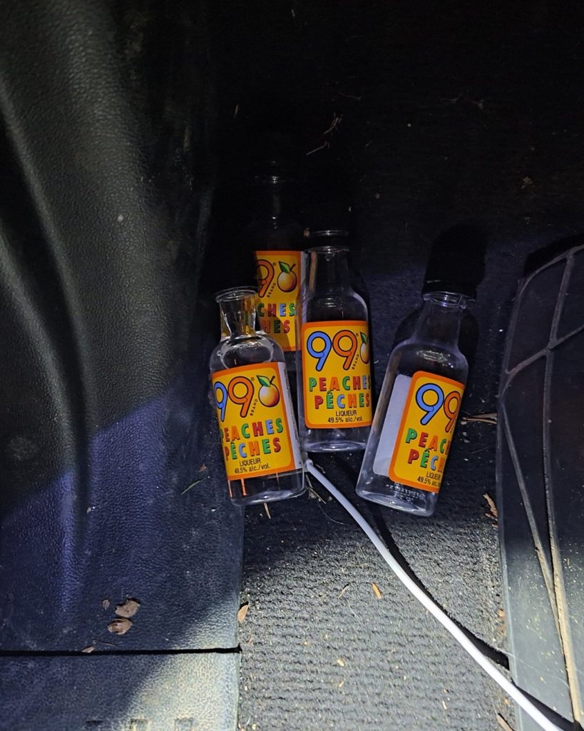 Abbotsford police stopped impaired driver with his four children in car