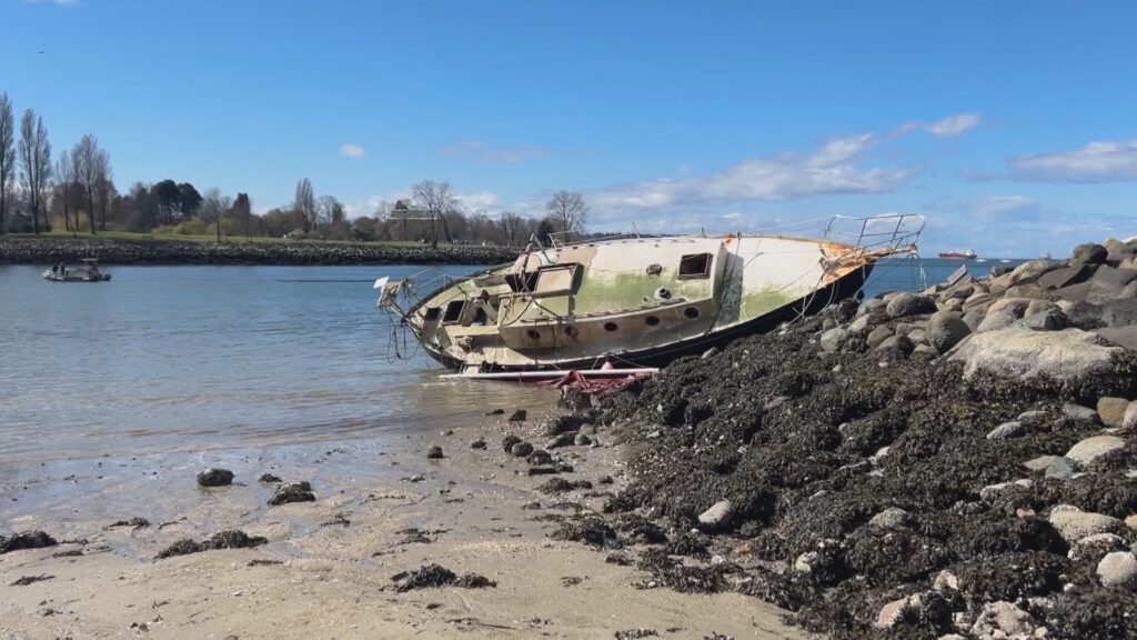 Concerns are growing over multiple derelict boats that have washed up onto the shores of False Creek.