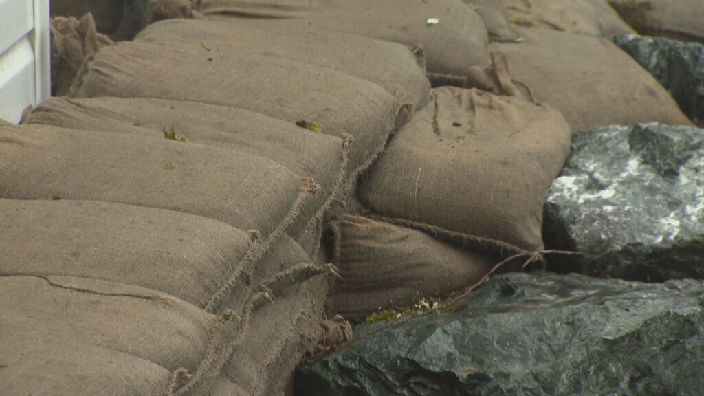 Flooding along the Chilliwack River on March 20, 2026.
