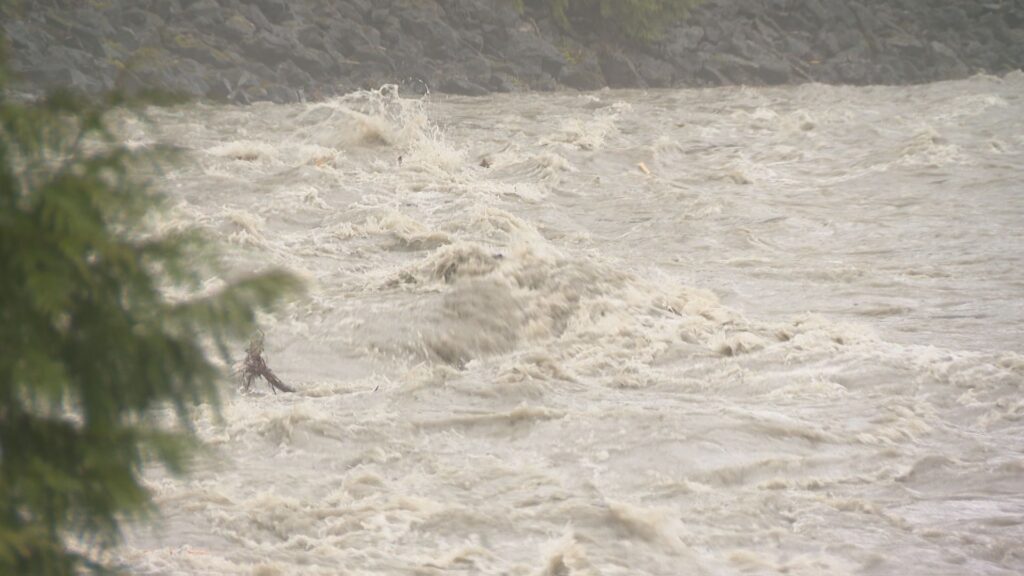 Flooding along the Chilliwack River on March 20, 2026.